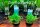 Glossostigma elatinoides Zungenblatt